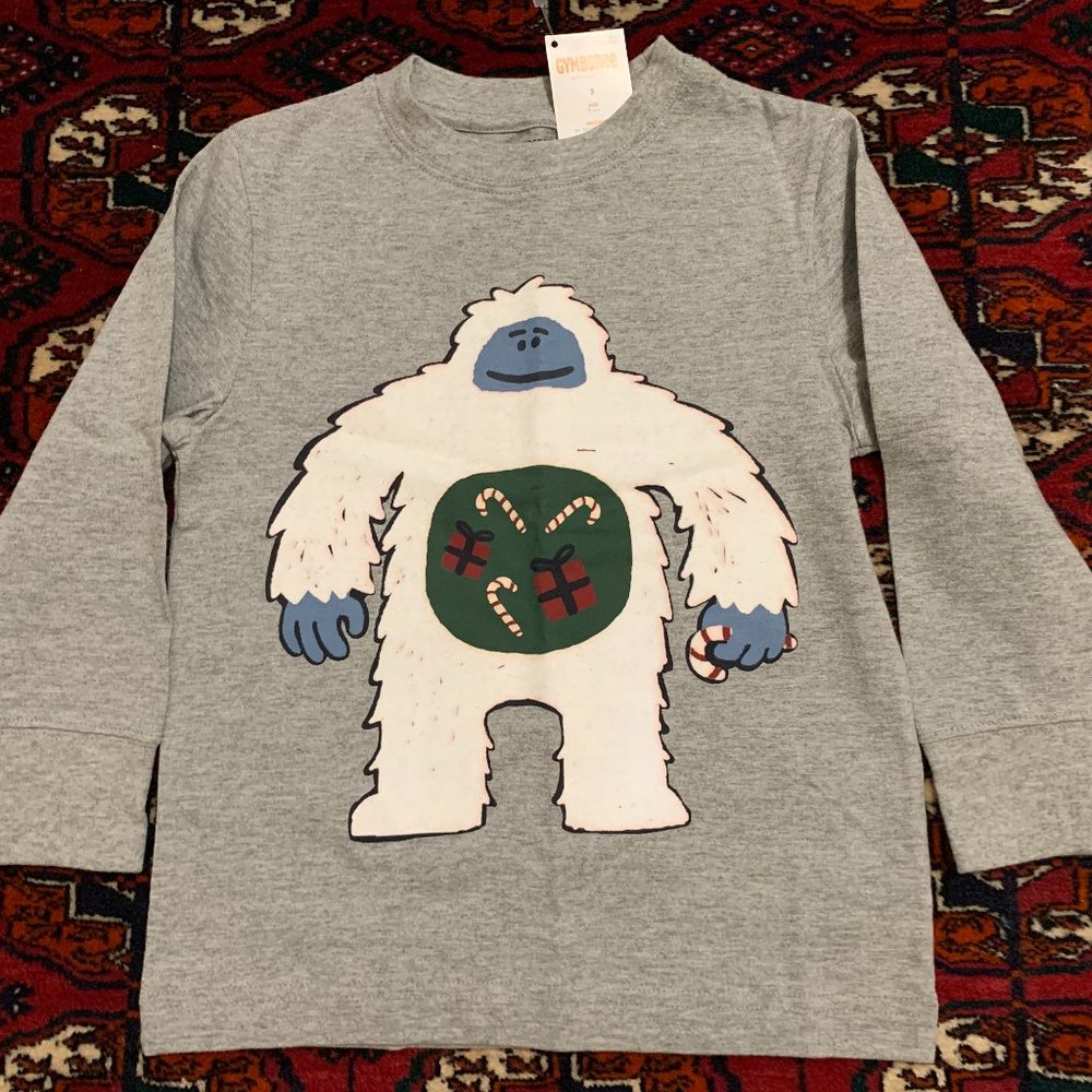 Gymboree Boys L/S shirt